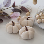 White Velvet Pumpkins